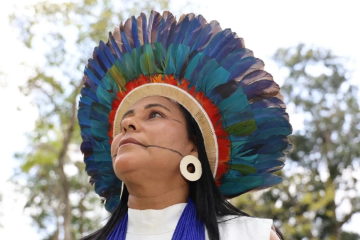 Difendono le ultime foreste incontaminate della Terra, rischiando la vita: chi sono i 6 eroi indigeni premiati dall'IUCN