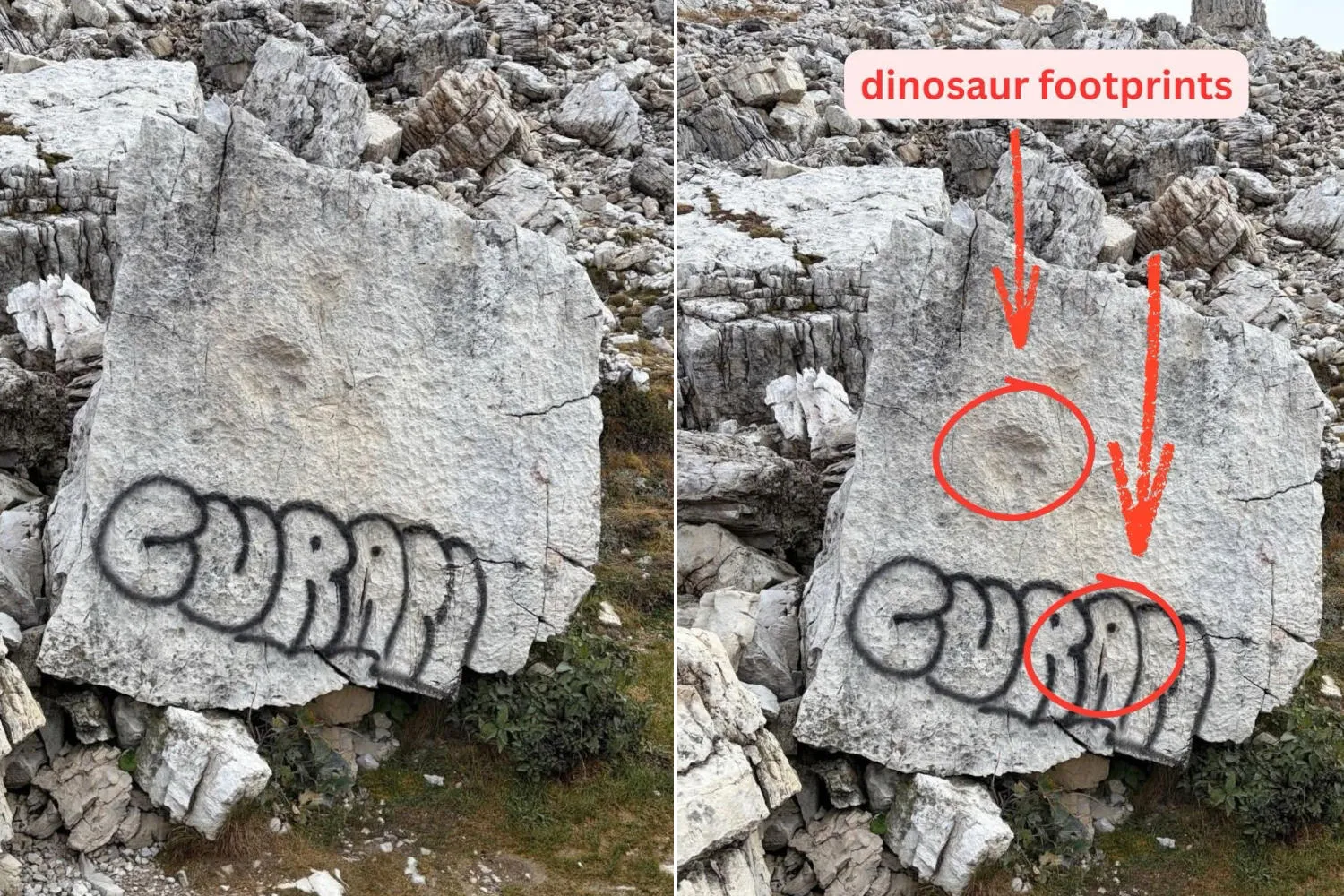 Sfregiata (di nuovo) con una bomboletta spray la roccia con le orme di dinosauro sulle Tre Cime di Lavaredo: “rispettate la nostra storia”