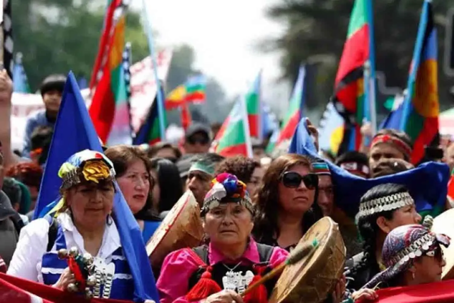 Così le donne indigene del Brasile proteggono la loro foreste conservando semi e praticando agroecologia. In arrivo una mappa mondiale per promuoverle