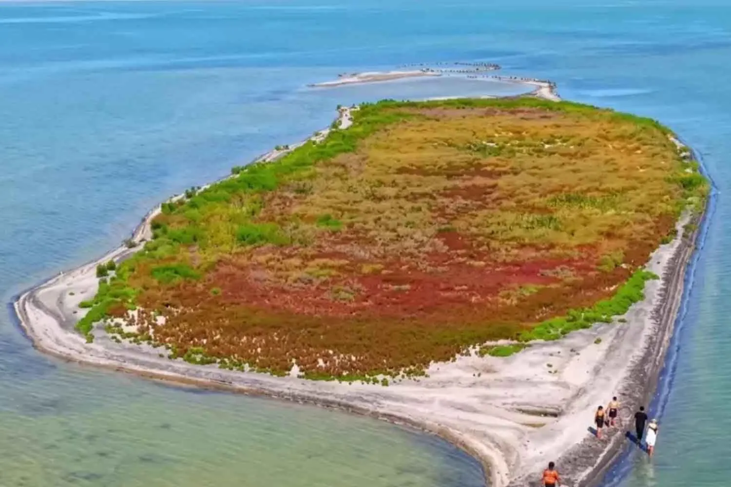 Il Mar Caspio si sta riducendo e ora è spuntata una nuova isola (ma non è una bella notizia)