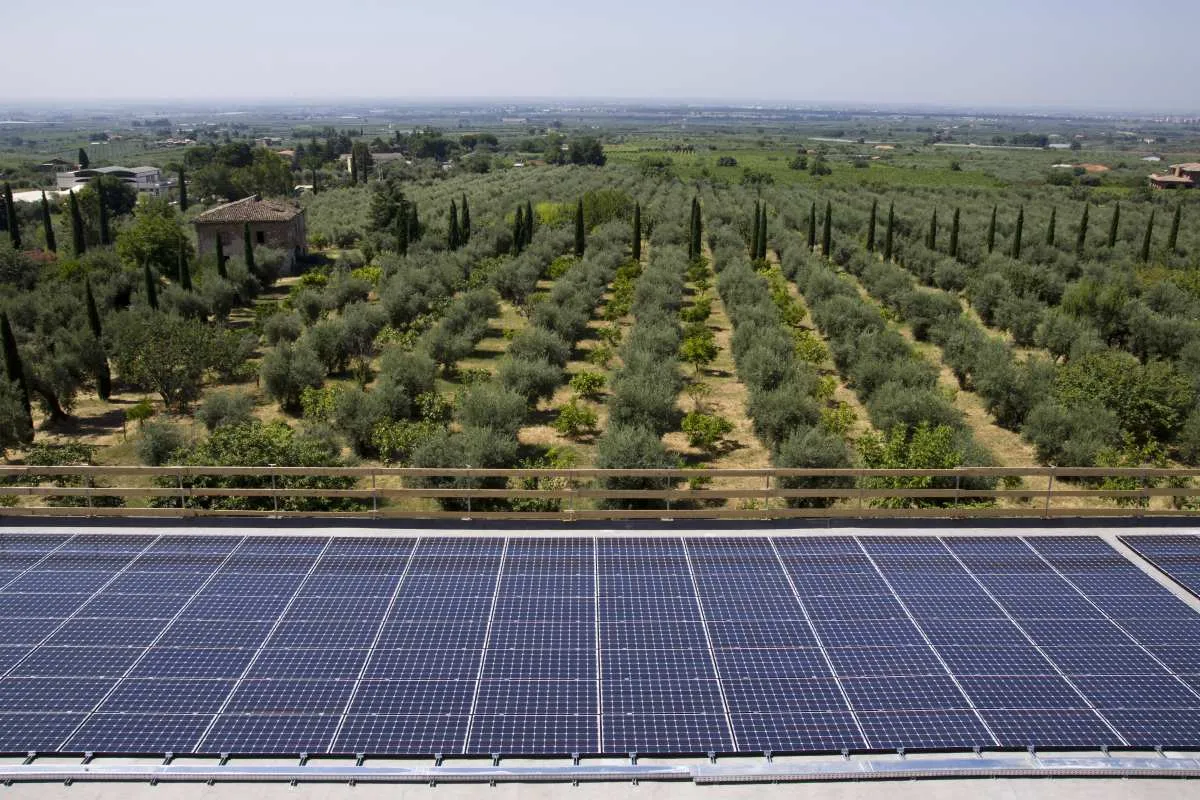 Calabria, incentivi a Green Communities per Piani sviluppo sostenibile